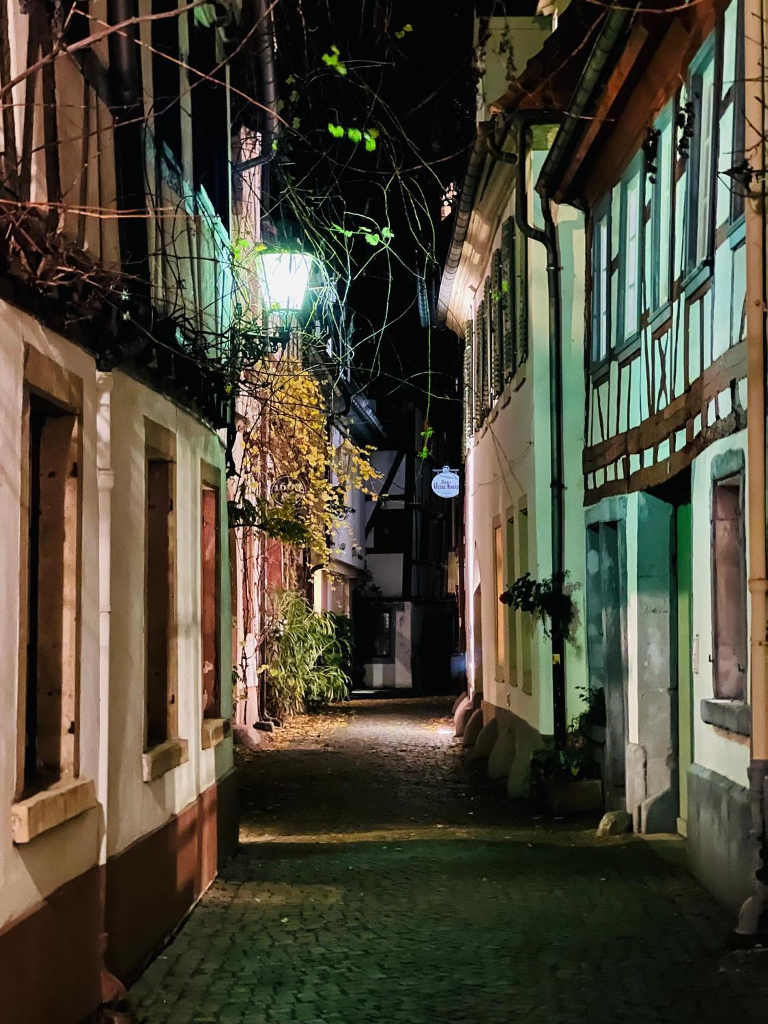 Artvacanza Neustadt Neustadt an der Weinstraße Kültér fotó